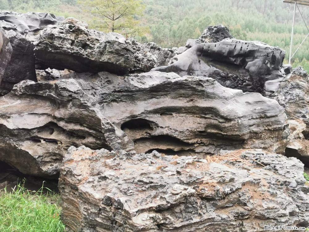 风景石、假山石大量有货，有需要的欢迎联系 - 新手上路 - 大连生活社区 - 大连28生活网 dl.28life.net