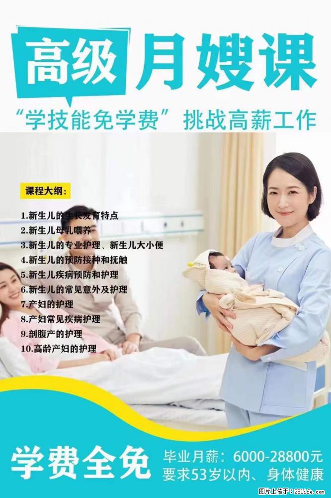 为什么要学习月嫂，育婴师？ - 其他广告 - 广告专区 - 大连分类信息 - 大连28生活网 dl.28life.net