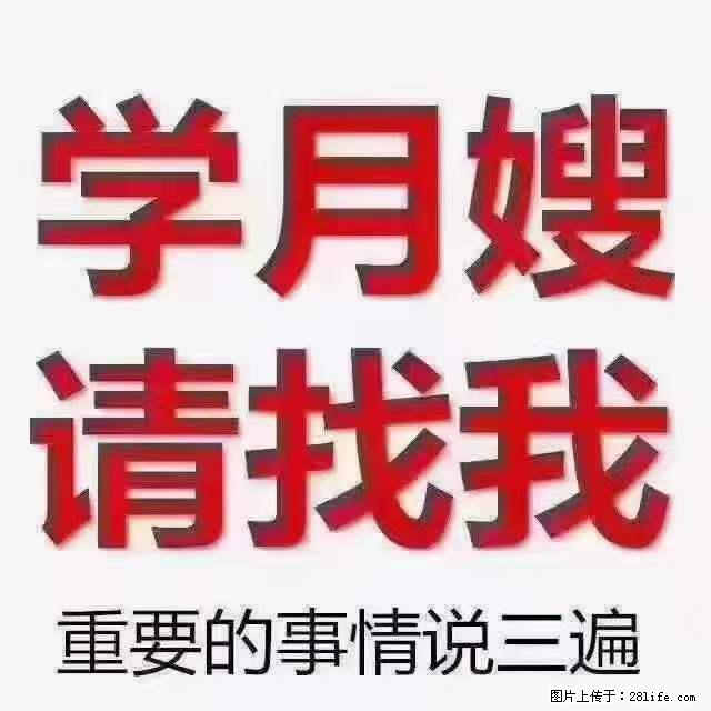 为什么要学习月嫂，育婴师？ - 新手上路 - 大连生活社区 - 大连28生活网 dl.28life.net