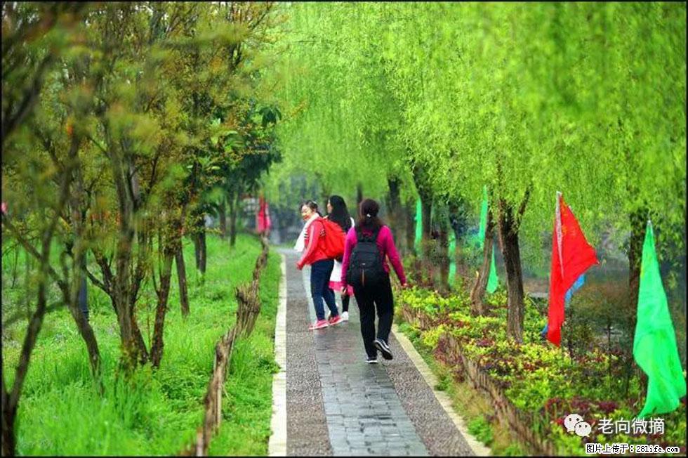 【春天，广西桂林灌阳县向您发出邀请！】江口老街又逢春 - 游山玩水 - 大连生活社区 - 大连28生活网 dl.28life.net