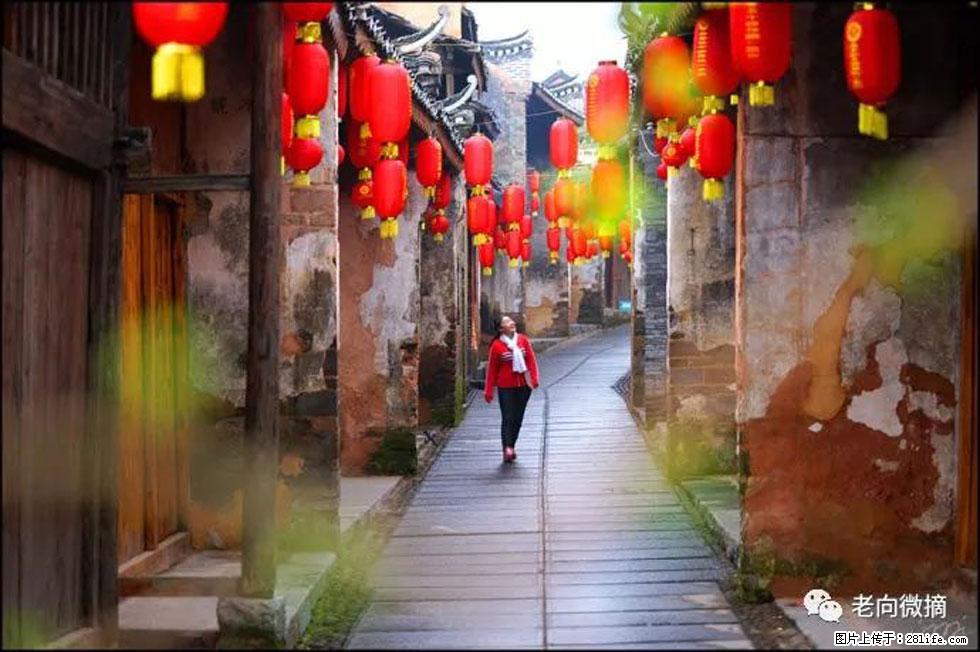 【春天，广西桂林灌阳县向您发出邀请！】江口老街又逢春 - 游山玩水 - 大连生活社区 - 大连28生活网 dl.28life.net