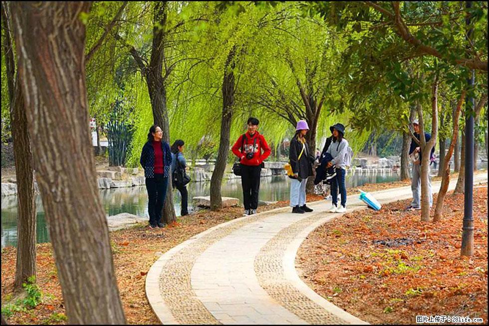 【春天，广西桂林灌阳县向您发出邀请！】江口老街又逢春 - 游山玩水 - 大连生活社区 - 大连28生活网 dl.28life.net