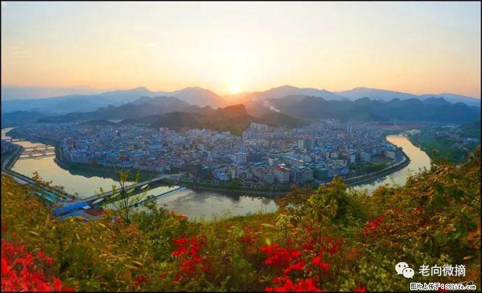 【春天，广西桂林灌阳县向您发出邀请！】登麒麟山，相约映山红 - 游山玩水 - 大连生活社区 - 大连28生活网 dl.28life.net