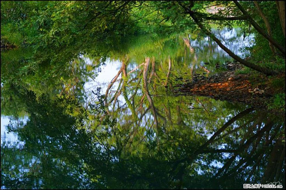 【春天,广西桂林灌阳县向您发出邀请!】熊家寨湿地公园 - 游山玩水 - 大连生活社区 - 大连28生活网 dl.28life.net