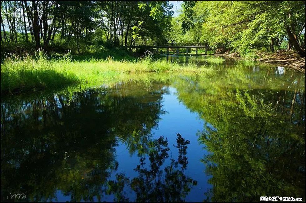 【春天,广西桂林灌阳县向您发出邀请!】熊家寨湿地公园 - 游山玩水 - 大连生活社区 - 大连28生活网 dl.28life.net