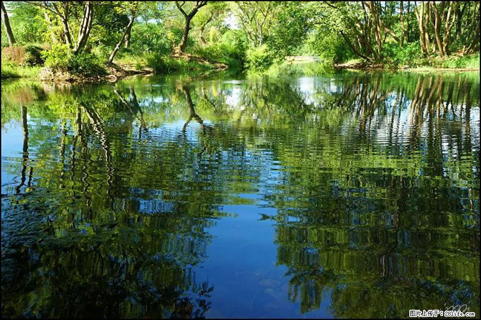 【春天,广西桂林灌阳县向您发出邀请!】熊家寨湿地公园 - 游山玩水 - 大连生活社区 - 大连28生活网 dl.28life.net