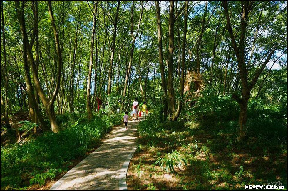 【春天,广西桂林灌阳县向您发出邀请!】熊家寨湿地公园 - 游山玩水 - 大连生活社区 - 大连28生活网 dl.28life.net