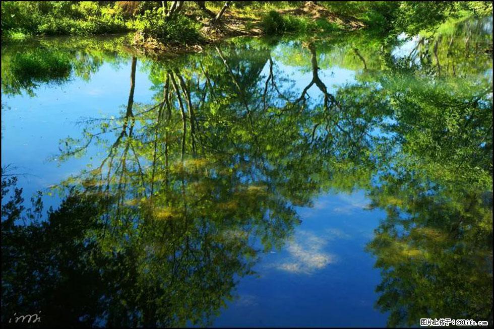 【春天,广西桂林灌阳县向您发出邀请!】熊家寨湿地公园 - 游山玩水 - 大连生活社区 - 大连28生活网 dl.28life.net