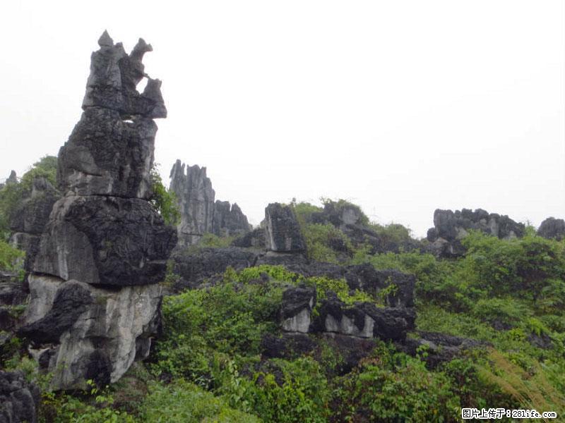 桂林旅游名城景点：灌阳文市石林 - 游山玩水 - 大连生活社区 - 大连28生活网 dl.28life.net