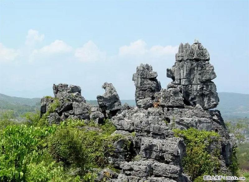 桂林旅游名城景点：灌阳文市石林 - 游山玩水 - 大连生活社区 - 大连28生活网 dl.28life.net
