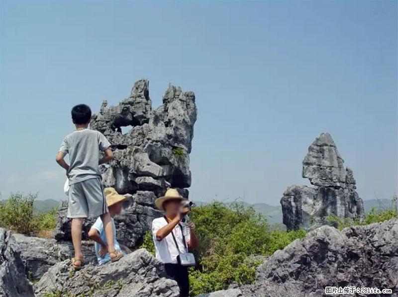 桂林旅游名城景点：灌阳文市石林 - 游山玩水 - 大连生活社区 - 大连28生活网 dl.28life.net