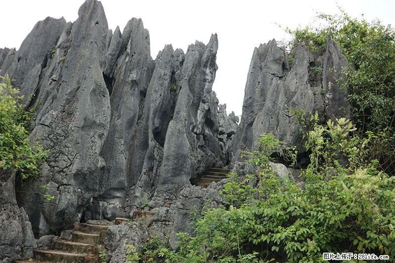 桂林旅游名城景点：灌阳文市石林 - 游山玩水 - 大连生活社区 - 大连28生活网 dl.28life.net