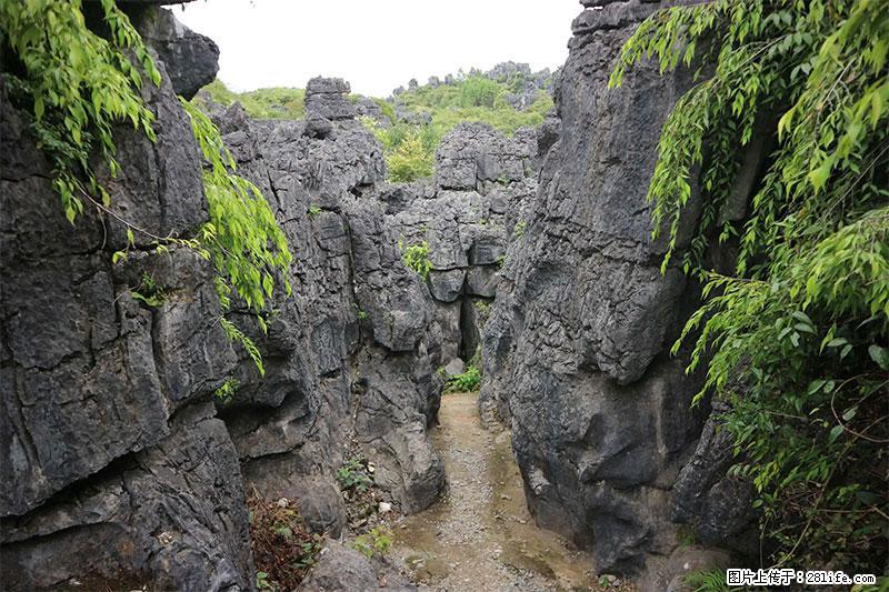 桂林旅游名城景点：灌阳文市石林 - 游山玩水 - 大连生活社区 - 大连28生活网 dl.28life.net