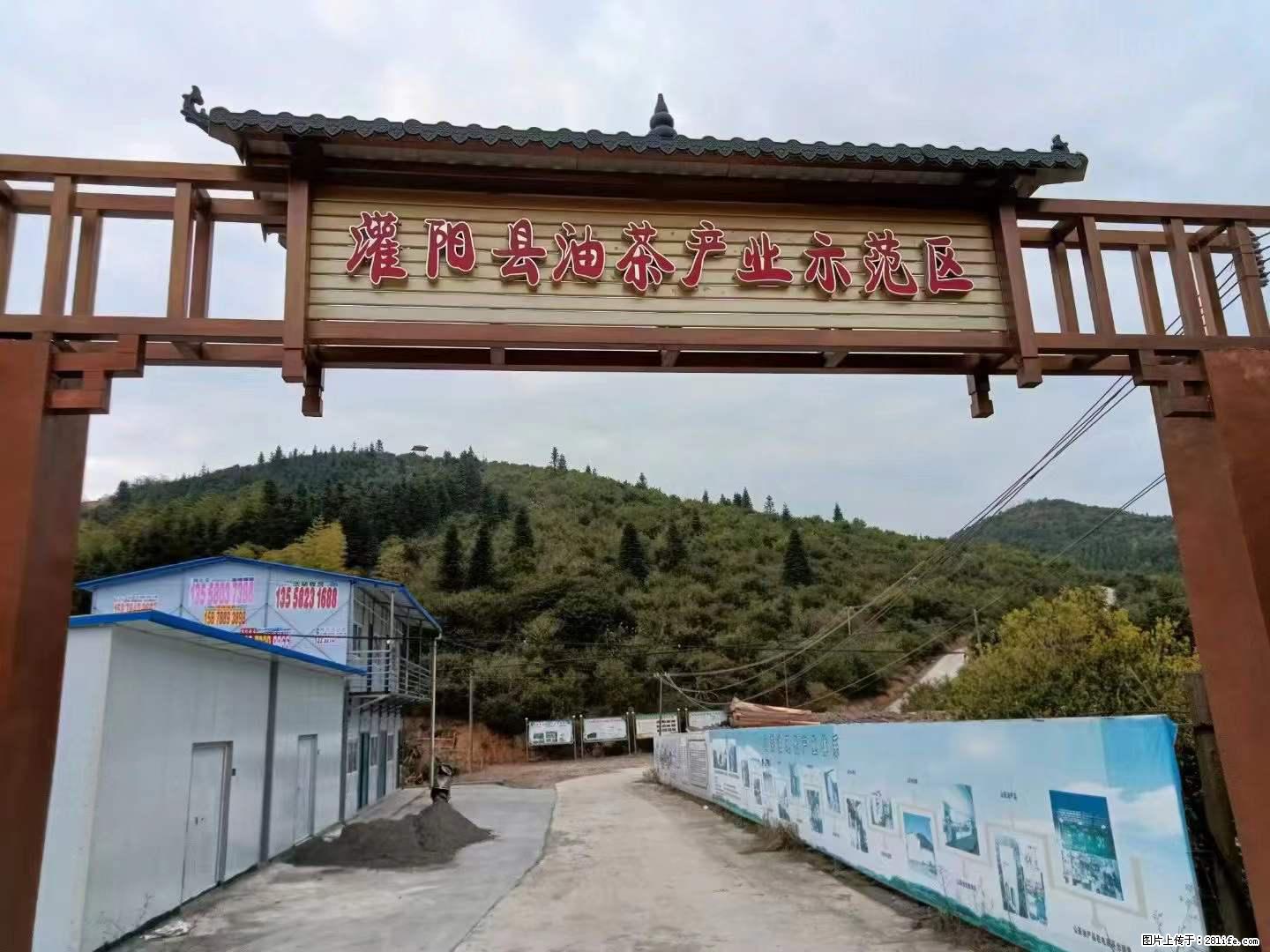 【灌阳县油茶产业示范区】一个有着充实的精神生活的人，对待身外之物自会有一种淡泊的态度 - 土特产 - 饮食特产 - 大连分类信息 - 大连28生活网 dl.28life.net