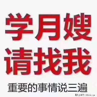 为什么要学习月嫂，育婴师？ - 大连28生活网 dl.28life.net