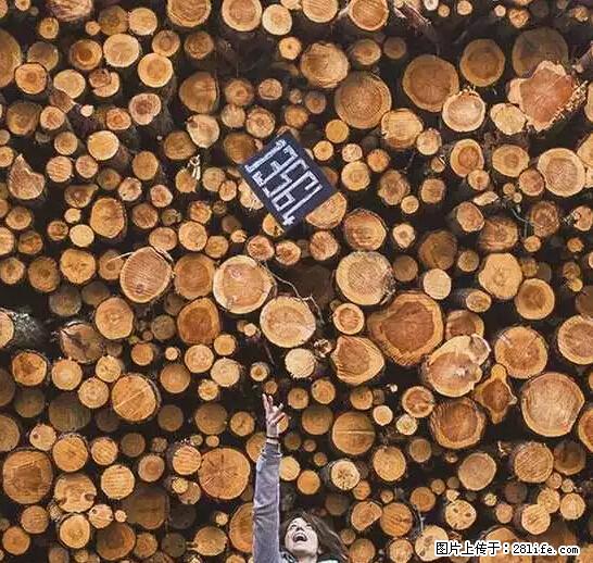 辞掉工作周游世界？现在他们在洗厕所…… - 游山玩水 - 大连生活社区 - 大连28生活网 dl.28life.net