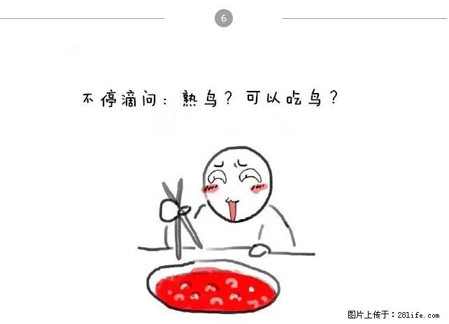 千万不要和这9种哈卵一起吃火锅！ - 美食天地 - 大连生活社区 - 大连28生活网 dl.28life.net