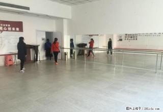 罗斯福国际大厦3楼可挂牌匾2000平可分割适合教育客户 - 大连28生活网 dl.28life.net