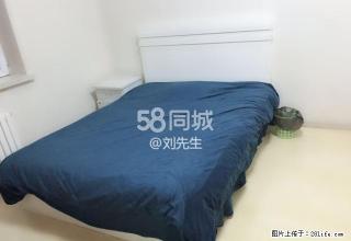 星海公园 西南路 海州街 医大二院 交通便利 拎包即住 - 大连28生活网 dl.28life.net