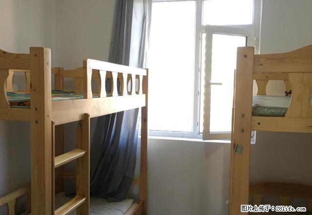(单间出租)月付女生高新园区三丰大厦IC大厦纳米大厦宿舍寝室全包 - 房屋出租 - 房屋租售 - 大连分类信息 - 大连28生活网 dl.28life.net