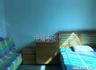 白云新村 奥林匹克 太原街 一室精装 无坡近市场车站 包水电 - 大连28生活网 dl.28life.net