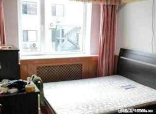 西安路 百盛后身精装两室一厅 地点佳 双南向 有钥匙随时看 - 大连28生活网 dl.28life.net