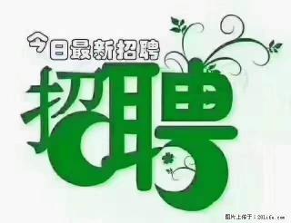 【招聘摄像师】待遇：试用期6000元/月，转正7000元/月+五险一金+餐补+节日福利+奖金 - 大连28生活网 dl.28life.net