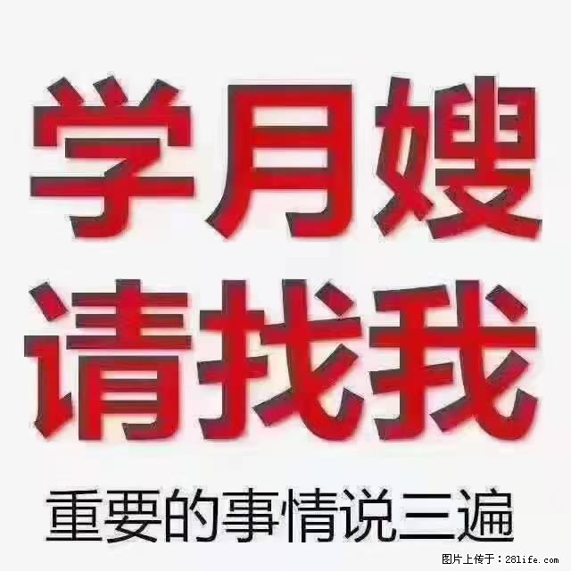 【招聘】月嫂，上海徐汇区 - 职场交流 - 大连生活社区 - 大连28生活网 dl.28life.net