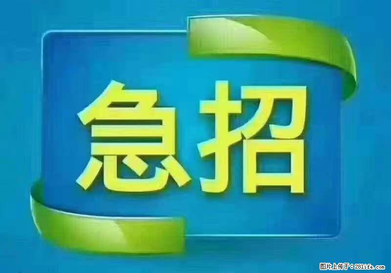 招出纳8000元/月，无证可以，要有相关经验，上海五险一金，包住，包工作餐，做六休一。 - 职场交流 - 大连生活社区 - 大连28生活网 dl.28life.net