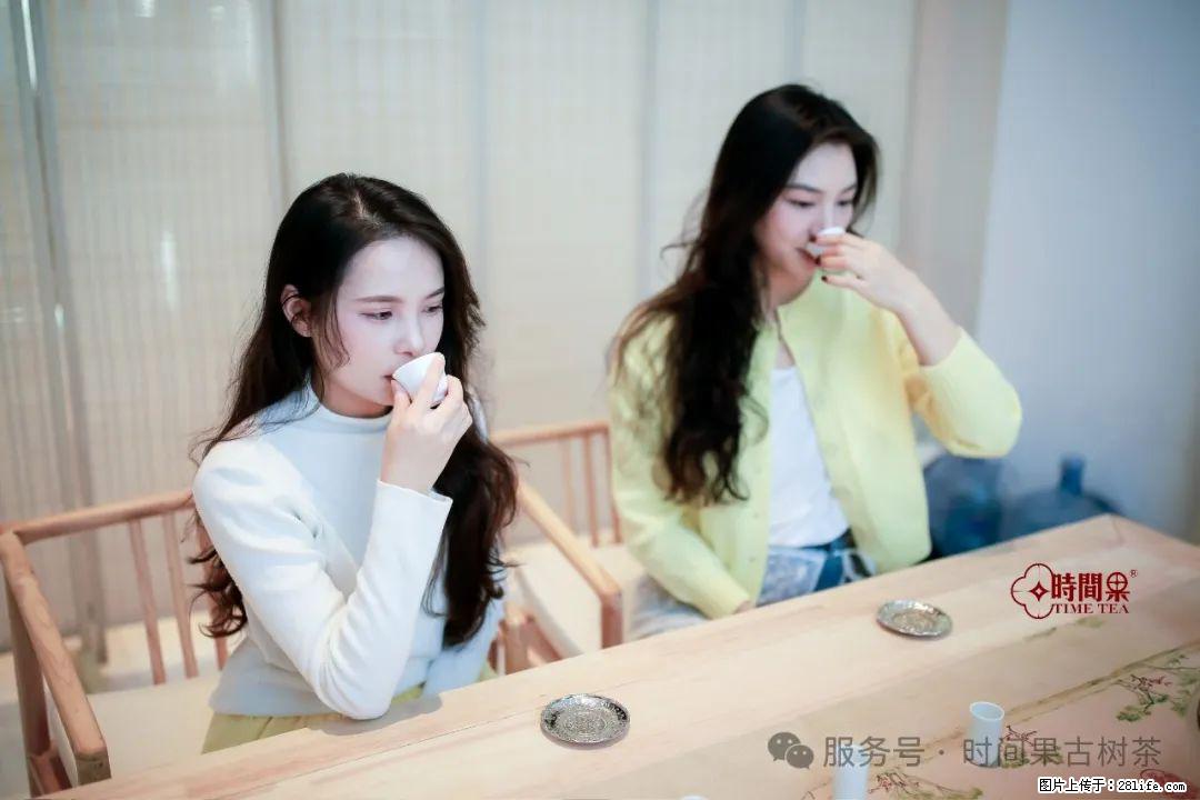 时间果百年古树龙珠普洱生茶 - 购物交流 - 大连生活社区 - 大连28生活网 dl.28life.net