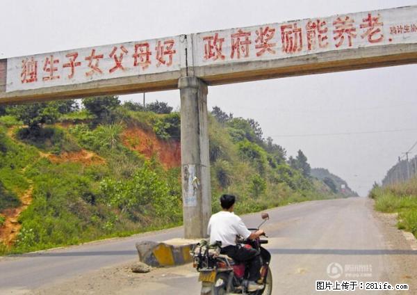 全面两孩政策计划明年元旦起实施 夫妻可延长生育假 - 大连生活资讯 - 大连28生活网 dl.28life.net