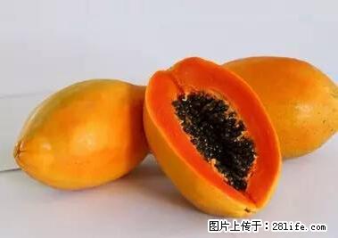 晕车、脚气、牙齿变黄、皮肤粗糙？学会这些三分钟搞定！ - 大连生活资讯 - 大连28生活网 dl.28life.net
