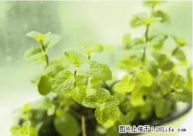晕车、脚气、牙齿变黄、皮肤粗糙？学会这些三分钟搞定！ - 大连生活资讯 - 大连28生活网 dl.28life.net