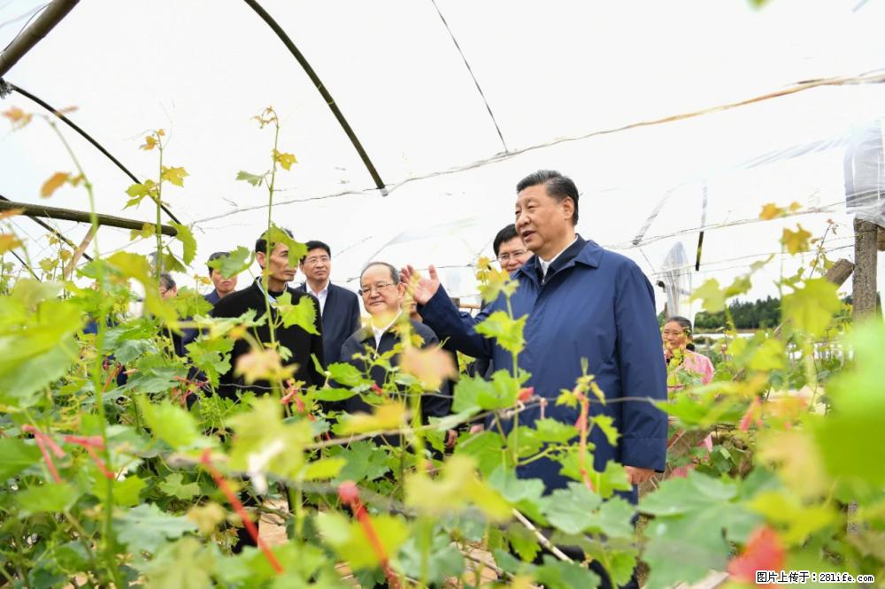 习近平赴广西考察调研 - 大连生活资讯 - 大连28生活网 dl.28life.net