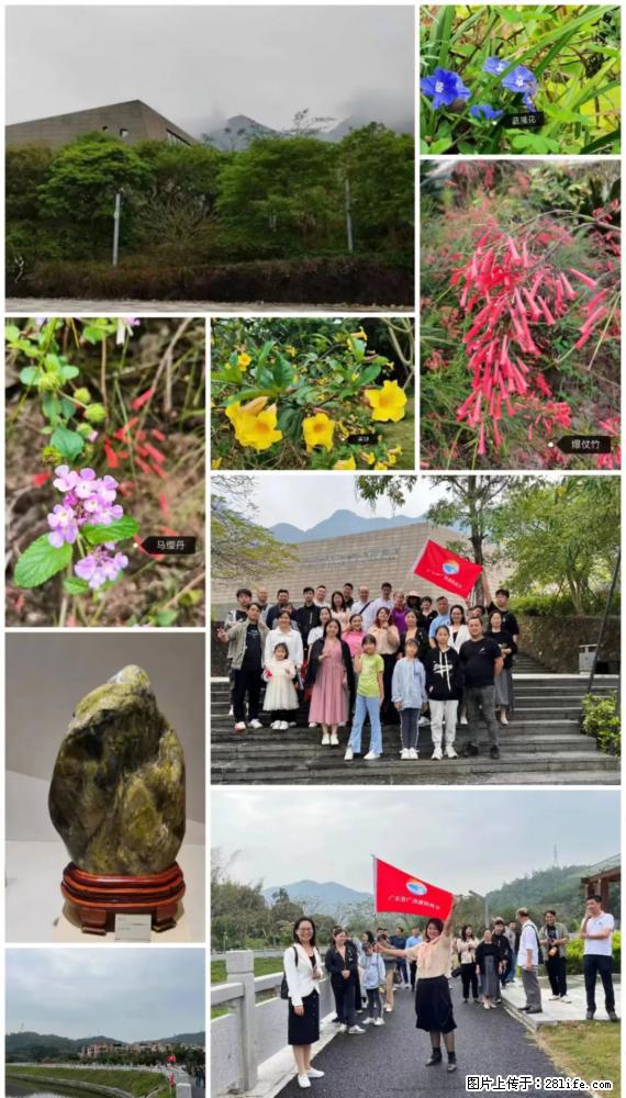 “粤灌文化 美好生活”油茶文化主题活动在广东深圳成功举办 - 大连生活资讯 - 大连28生活网 dl.28life.net