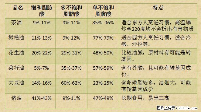 揭秘茶油的5大核心营养成分！被称为人体健康的“守护盾”！ - 大连生活资讯 - 大连28生活网 dl.28life.net