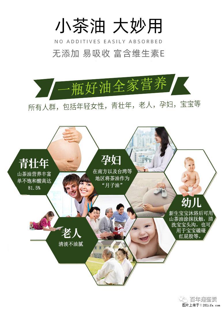 世界没有真相，只有认知，最好的食用油是中国的山茶油！ - 大连生活资讯 - 大连28生活网 dl.28life.net
