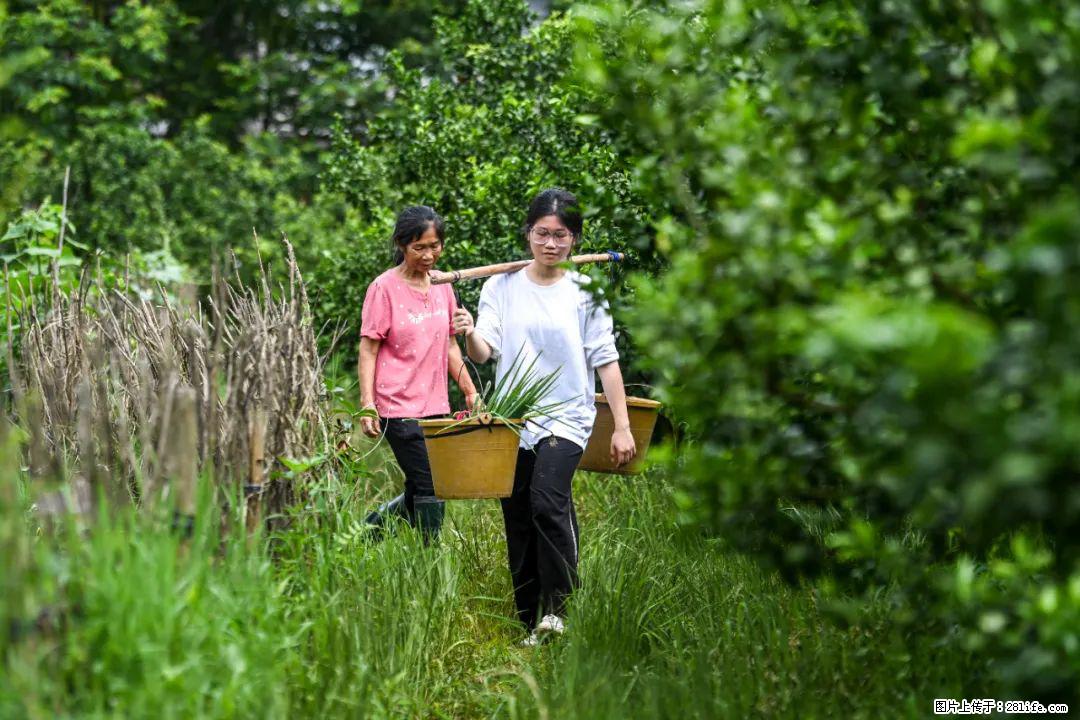 全网追的“扁担女孩”，找了一份暑假工，时薪12元 - 大连生活资讯 - 大连28生活网 dl.28life.net