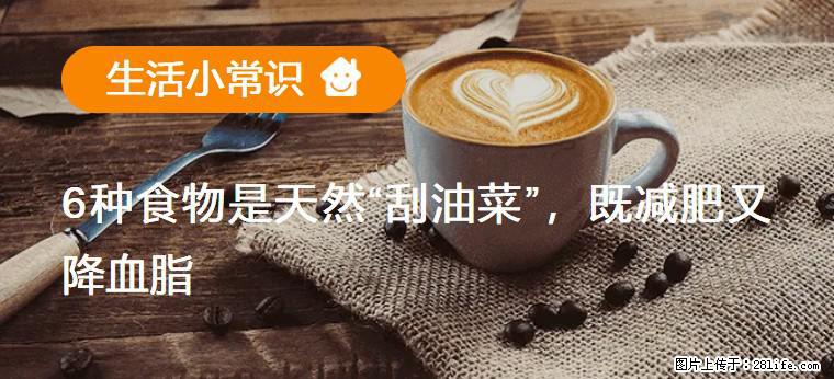 【生活小常识】6种食物是天然“刮油菜”，既减肥又降血脂 - 大连生活资讯 - 大连28生活网 dl.28life.net