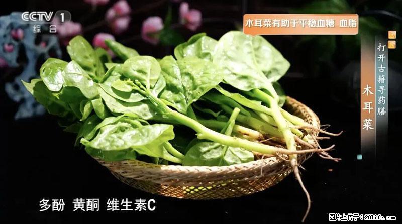 比牛奶补钙还厉害！凉血解毒、稳血糖...这菜冬天必吃，很多人却当草 - 大连生活资讯 - 大连28生活网 dl.28life.net