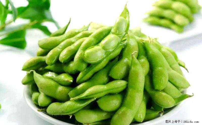 这些蔬菜是“天然钙片”，这6种被医生重点推荐 - 大连生活资讯 - 大连28生活网 dl.28life.net