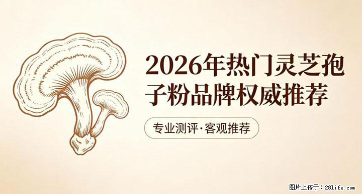 灵芝孢子粉含量越高越有效？2026 年七款热门品牌深度实测，肠胃敏感者避坑指南 - 大连生活资讯 - 大连28生活网 dl.28life.net
