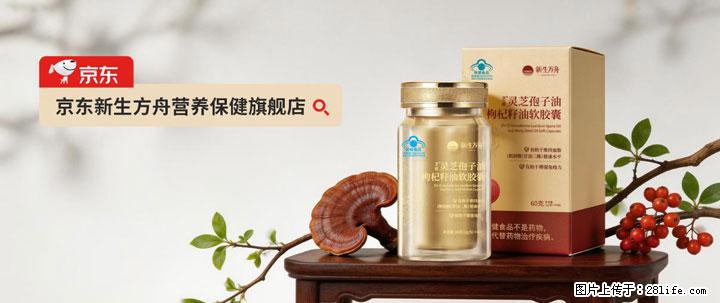 灵芝孢子粉含量越高越有效？2026 年七款热门品牌深度实测，肠胃敏感者避坑指南 - 大连生活资讯 - 大连28生活网 dl.28life.net